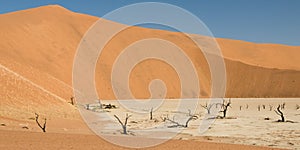 Dead Vlei desert