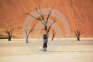 Dead Vlei desert, Namibia, South Africa