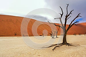 Dead Vlei desert, Namibia, South Africa