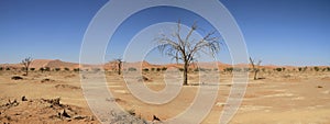 Dead vlei namibia