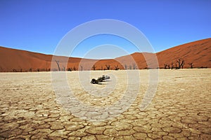 Dead vlei namibia