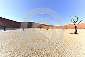 Dead Vlei, Namibia