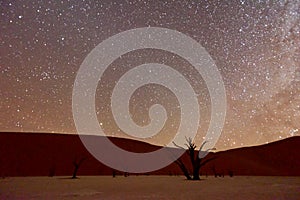 Dead Vlei, Namibia