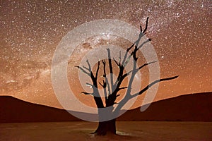 Dead Vlei, Namibia at Dusk