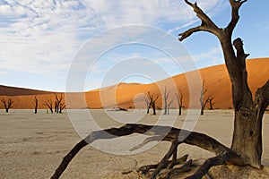 Dead Vlei, Sossusvlei, Namibia