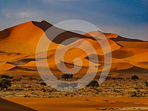 Sharp border of light and shadow over the crest of the dune. The Namib-Naukluft at sunset. Namibia, South Africa. The concept of e