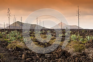 Dead volcanic land Timanfaya national park, Lanzarote photo