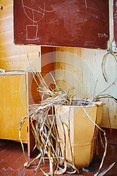 A dead withered houseplant in a tub in a poor dirty school classroom