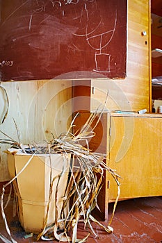 A dead withered houseplant in a tub in a poor dirty school classroom