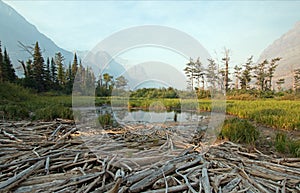 DEAD WOOD AT MARSH POND ON THE SHORES OF SAINT MARY LAKE AT WILD GOOSE ISLAND LOOKOUT POINT IN GLACIER NATIONAL PARK IN MONTANA US