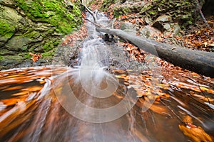 Mrtvé dřevo v malém vodopádu v potoce v turovské roklině na podzim v kremnických vrších