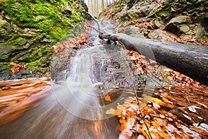 Dead wood in small waterfall in creek in Turovska roklina gorge during autumn in Kremnicke vrchy mountains