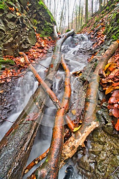 Dead wood in small waterfall in creek in Turovska roklina gorge during autumn in Kremnicke vrchy mountains