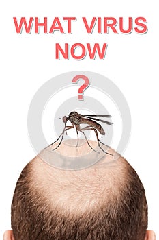 Deadliest viruses on Earth