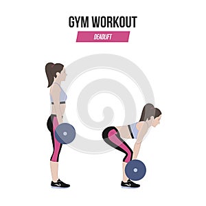Deadlift. Deadlift with a barbell. Sport exercises. Exercises in a gym. Illustration of an active lifestyle. Vector