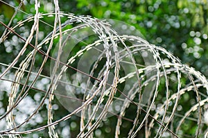 Deadly razor wire security barrier