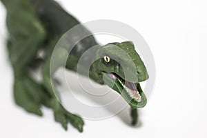 Velociraptor on white background ready to attack