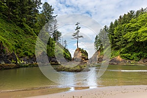 Deadman`s Cove at Cape Disappointment in Washington