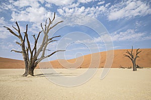 Deadvlei