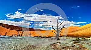 Deadvlei in Namib-Naukluft national park, Sossusvlei, Namibia