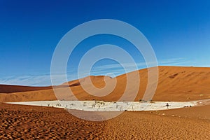 Deadvlei Namibia viewed from the top of a dune