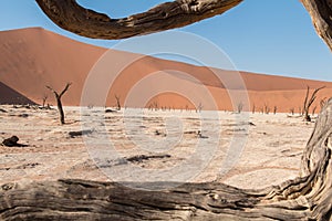 Deadvlei is a white clay pan located near the more famous salt pan of Sossusvlei, inside the Namib-Naukluft Park in Namibia.