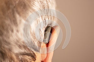 Deaf man hearing aid ear