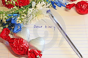 Dear diary written in a book