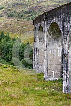 Dear near Famous Glenfinnan Railway Viaduct in Scotland