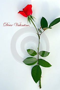 Dear Valentine