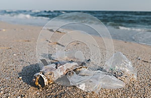 Death fish and plastic garbage on the beach