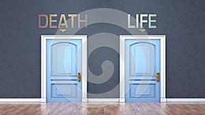 Death and life as a choice - pictured as words Death, life on doors to show that Death and life are opposite options while making
