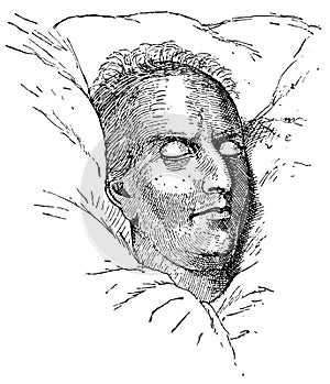 A death mask of Friedrich Schiller