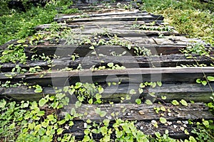 Death railway, built during World War II,Kanchanaburi Thailand