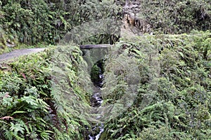 Death road, Camino de la Muerte, Yungas North Road between La Paz and Coroico, Bolivia photo