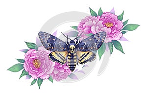 Death`s-Head Hawk Moth with Pink Peonies