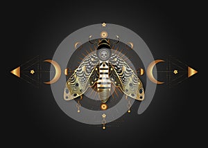 The death's head moth on Sacred Geometry. Night mystical butterfly with a skull and Moon Phases. Gold luxury icon