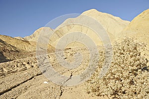 Death Valley Desert Creekbed