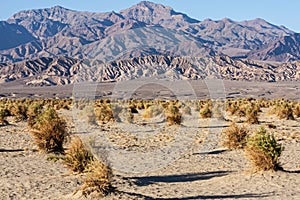 Death Valley photo