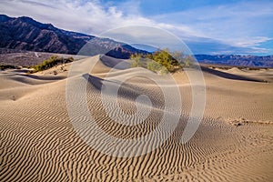 Death Valley Dunes