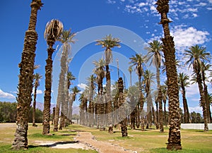 Death Valley Furnace Creek photo