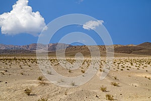 Death Valley Landscape