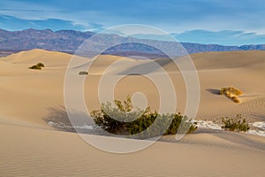 Death Valley National Park