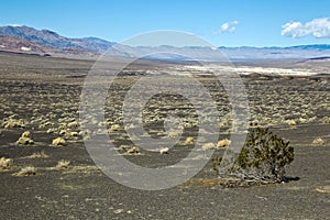 Death Valley National Park, California.