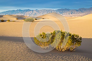 Death Valley National Park