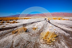 Death Valley National Park California Badwater photo