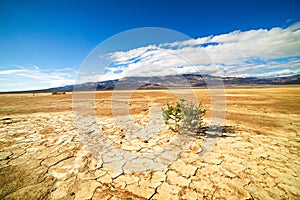 Death Valley National Park Dry Desert Floor