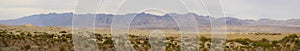 Death Valley panorama