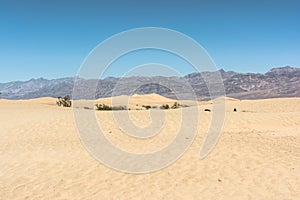 Death Valley, the sand dunes, California