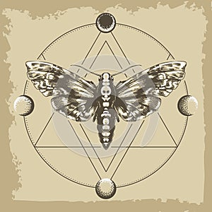 Deaths Head Hawk Moth in Esoteric Astrological Circle Retro Illustration